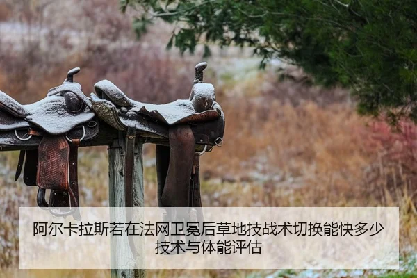 a-er-ka-la-si-ruo-zai-fa-wang-wei-mian-hou-cao-di-ji-zhan-shu-qie-huan-neng-kuai-duo-shao-ji-shu-yu-ti-neng-ping-gu-1-199.jpg